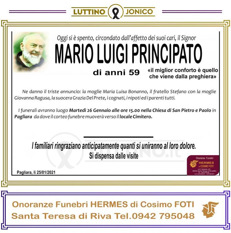 Mario Luigi  Principato 